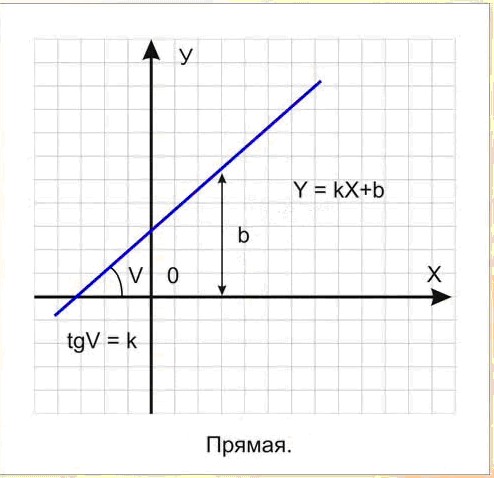 22.03-8.jpg