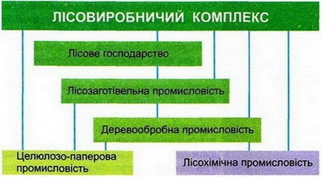 Галузева структура лісовиробничого комплексу