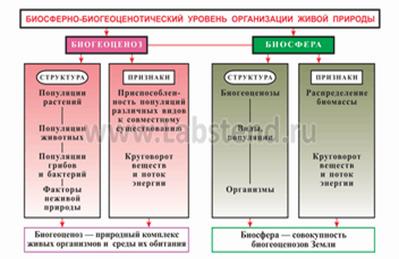 Экосистемный уровень