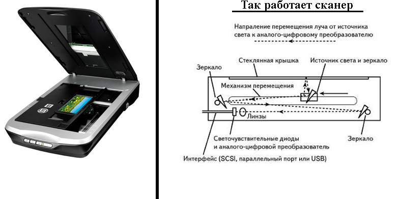 Сканеры