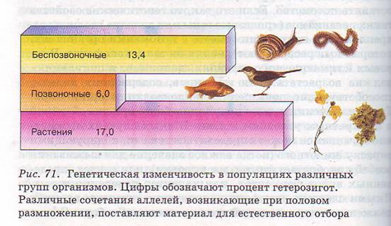 Генофонд популяций.