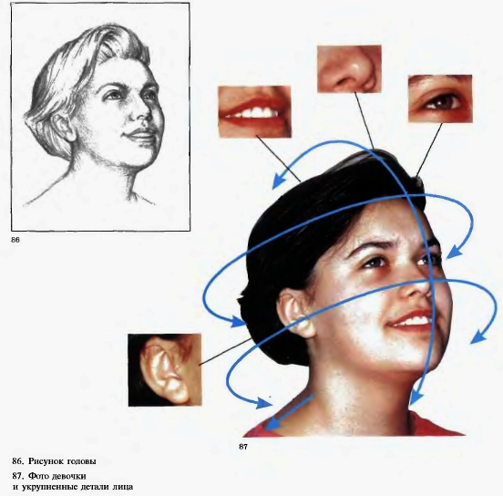 86. Рисунок головы. 87. Фото девочки и укрупненные детали лица