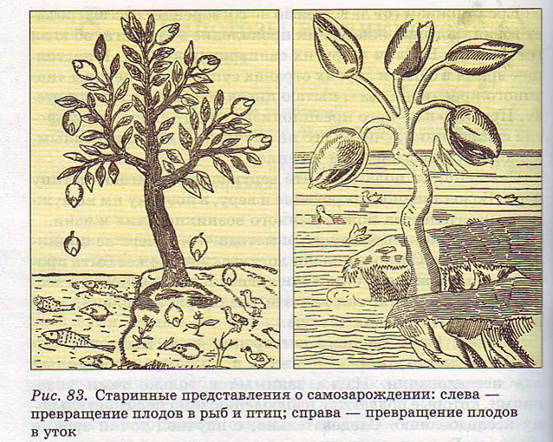 Гипотезы возникновения жизни