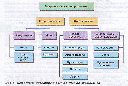 Химические вещества клетки.