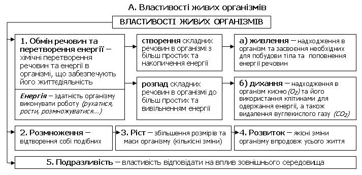 Живлення рослин і тварин-1.jpg