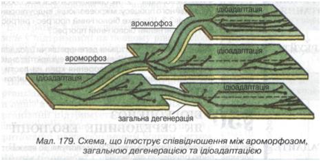 Ароморфоз, ідіоадаптація та загальна дегенерація