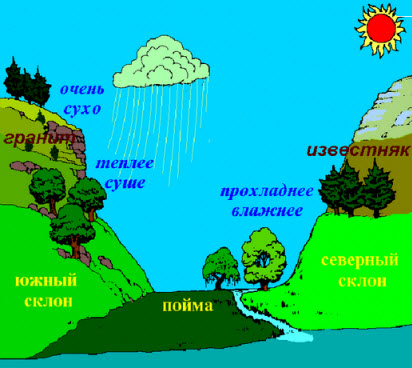 Зв'язок абіотичних факторів