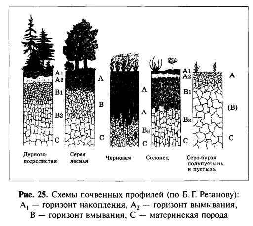 Схемы почвенных профилей