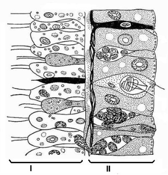 3 bio 8.jpg