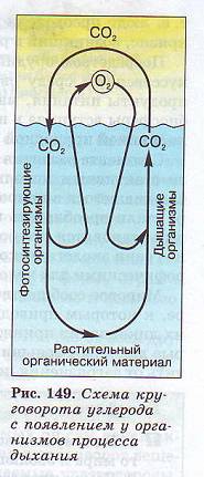 Схема круговорота