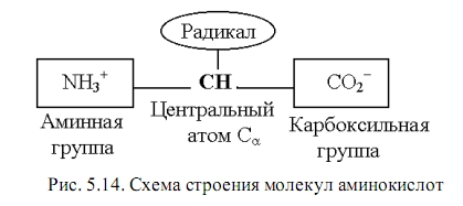 аминокислоты