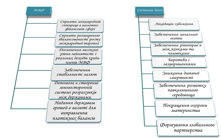 127-cili-mvf.jpg