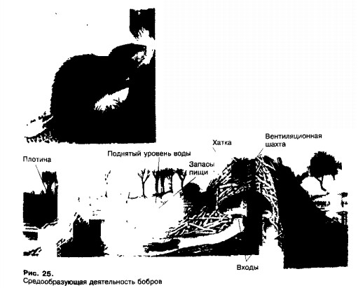 0901-17.jpg