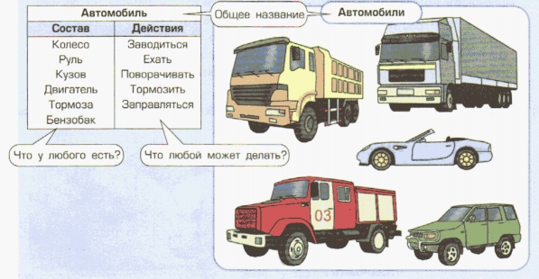 Общее название. Общие свойства