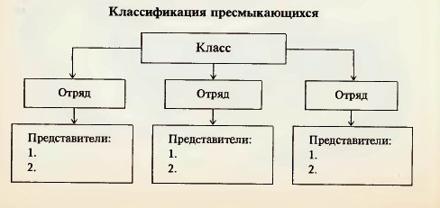 Классификация пресмыкающихся