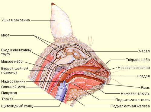 Priroda6 3 6.jpg