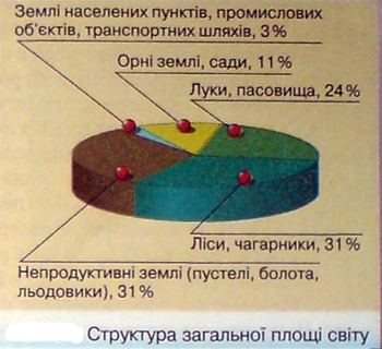 Площа світу