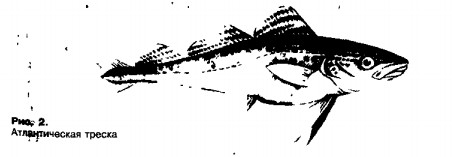 0901-1.jpg