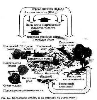 Химия и проблемы охраны окружающей среды