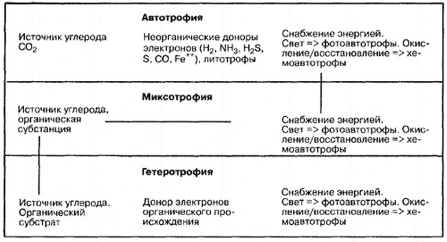 Типи живлення