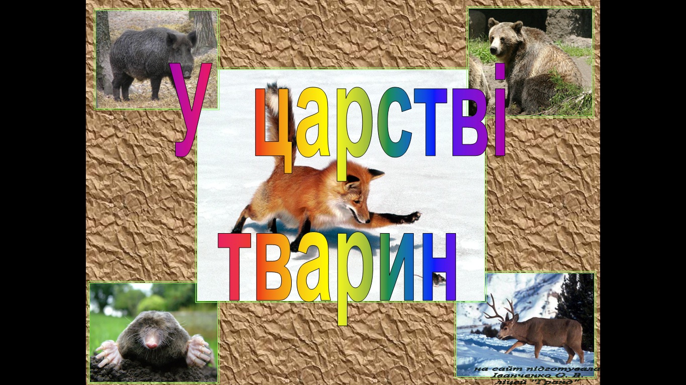 тварини