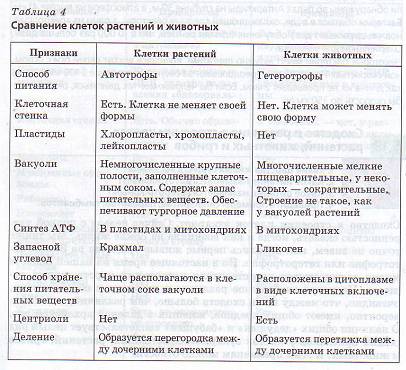 Таблица строения клеток