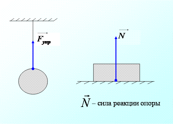 Fizr7 14 6.gif