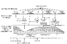 1 bio 9 3.jpg