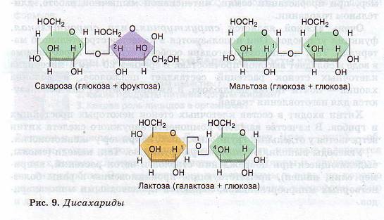 Дисахариды