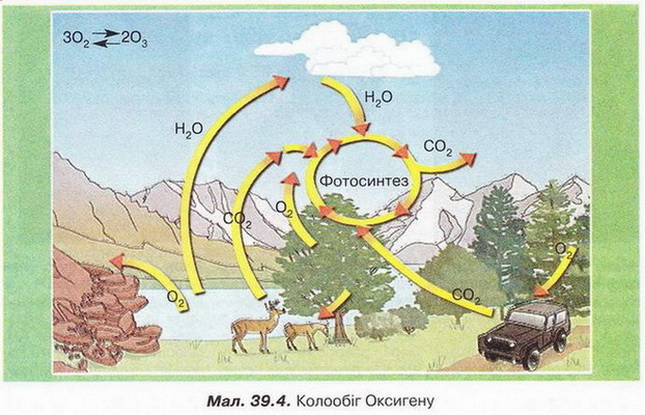 Chemistry 256 2.jpg