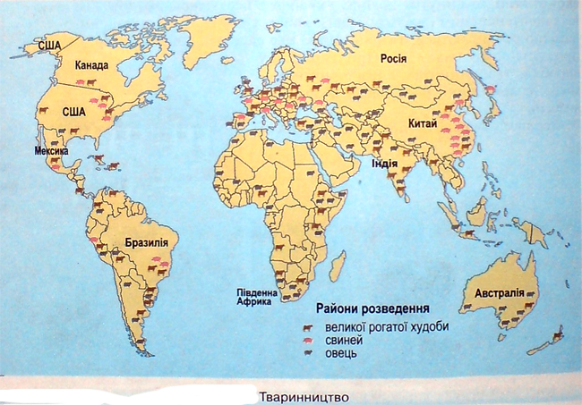 Тваринництво