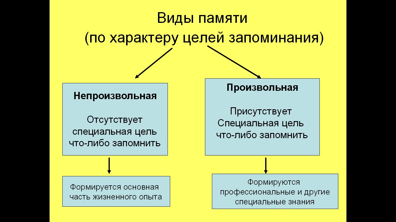 виды памяти