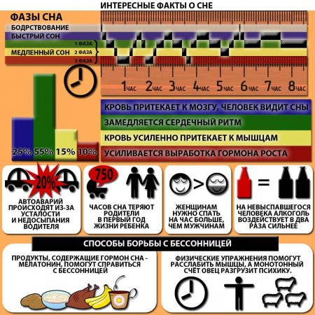 факты о сне.фото