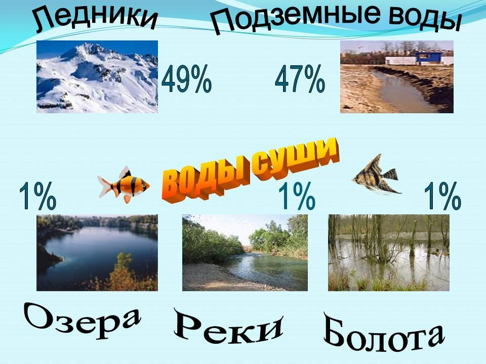 Воды суши