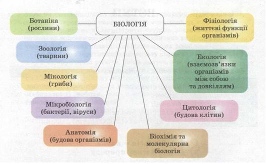 Різноманітність біологічних наук. фото