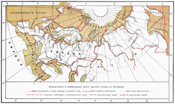 Главнейшие направления пролетных путей птиц