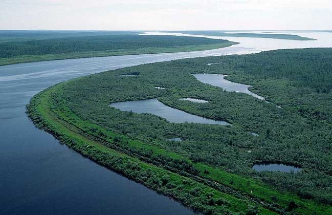 Єнісей