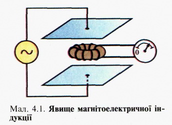 0545.jpg