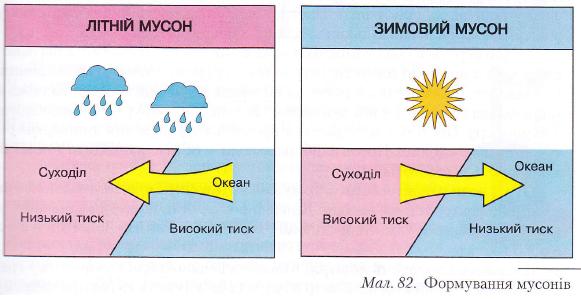 Формування мусонів