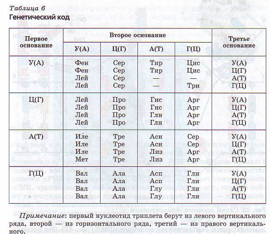 Генетический код