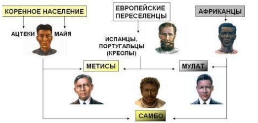 Этнический состав населения Латинской Америки