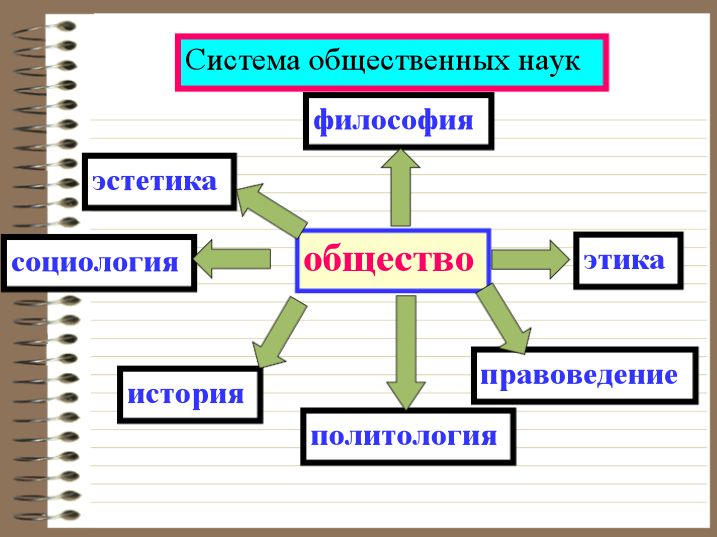 общество