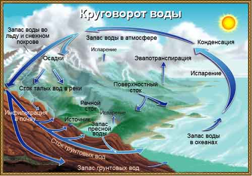 Круговорот воды в биосфере.