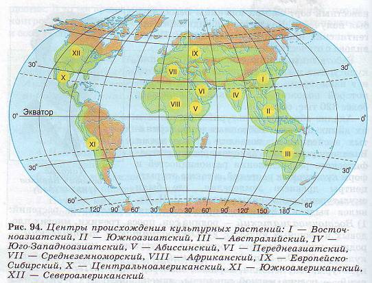 Центры происхождения культурных растений