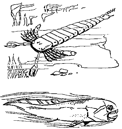 Самые страшные хищники раннего палеозоя