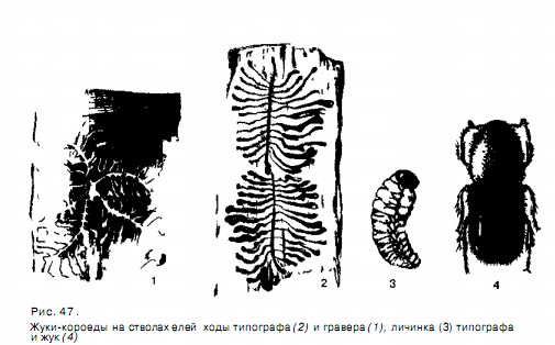 0901-41.jpg