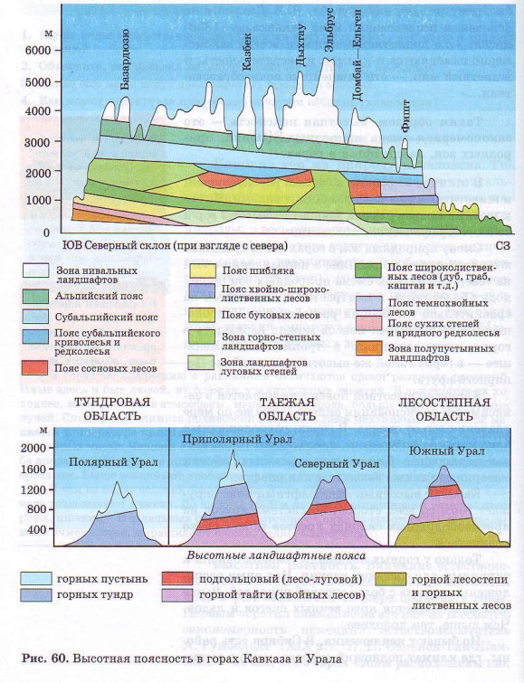 Высотная поясность в гора Кавказа и Урала