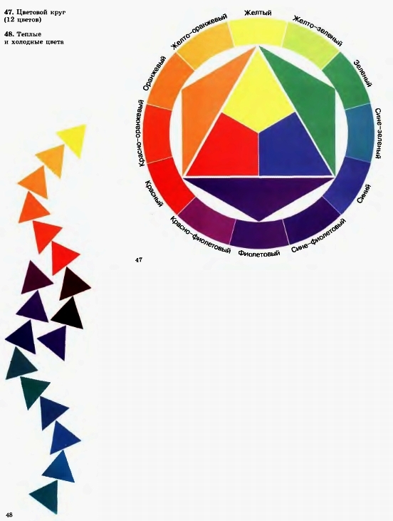 47. Цветовой круг (12 цветов). 48. Теплые и холодные цвета