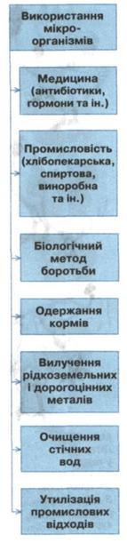 Використання мікроорганізмів