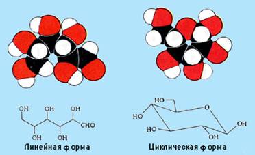 Молекула глюкози